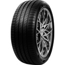 225/45R18 95W DELINTE DS2 XL